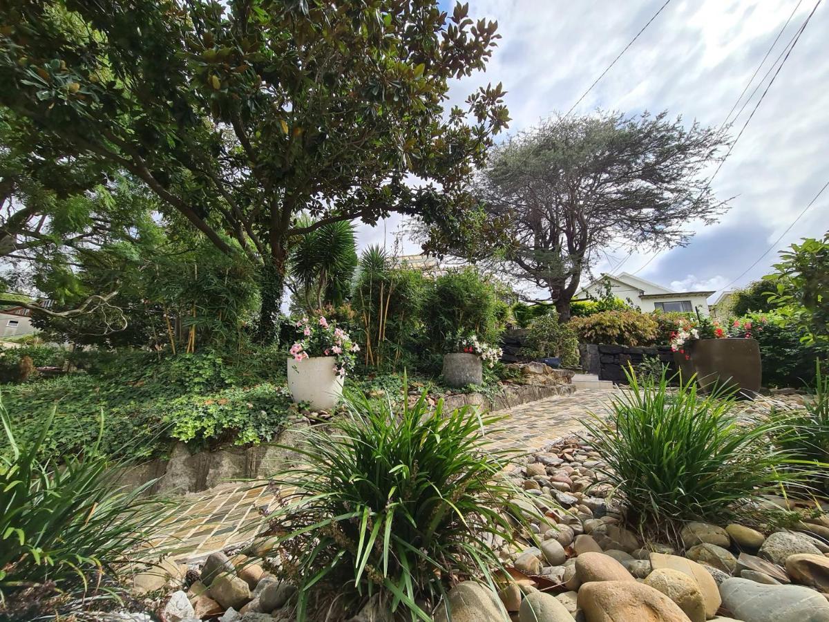 Bamboo House, Close To The City & Airport & Train Station And Brighton Le Sands Beach Sidney Dış mekan fotoğraf